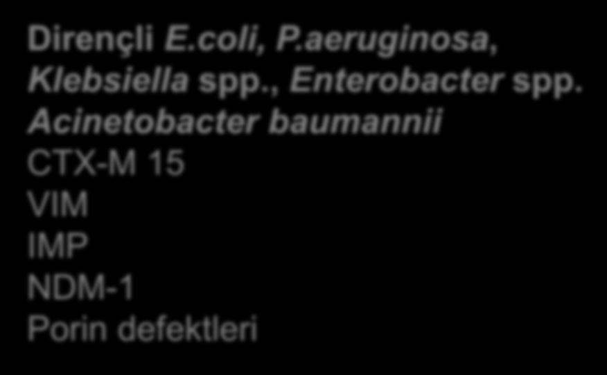 β-laktamazlar , Enterobacter spp.