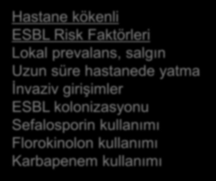 Aminnopenilisin kullanımı Sefalosporin kullanımı Florokinolon kullanımı Yüksek endemik yerden seyahat Hastane kökenli ESBL Risk