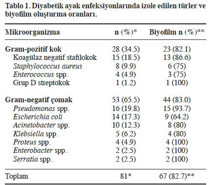 Ülkemizde DAİ biofilm 2013-2015, 55 hasta 81 izolat 67 (%82.7) biofilm oluşumu Etkenler P.