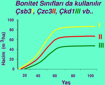 İyiden kötüye doğru I, II, III, IV, V şeklinde Romen