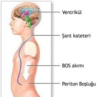 * Ömer Faruk Kökoğlu, Nurcan Kurt, Hasan Uçmak, Selma Güler, Nurettin Kuzhan * Kahramanmaraş Sütçü İmam