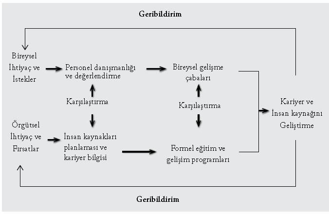 Kariyer Geliştirme Süreci Kariyer geliştirme sürecinde ilk adım bireysel ve örgütsel ihtiyaçların karşılaştırılmasıdır.