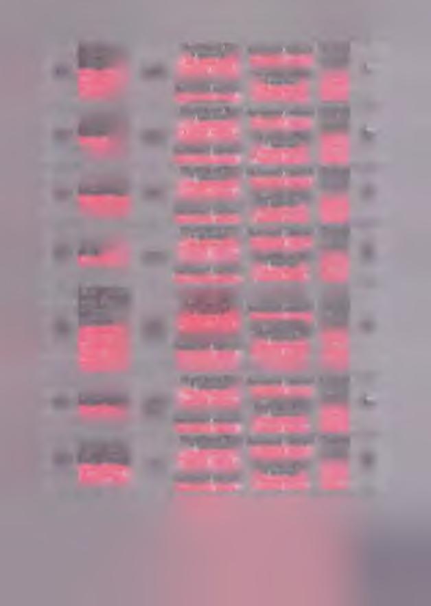 11.3 B ilişim, B ilgisayar Inform atics, C om puter Milli h Milli h haftadan vveeks 13.1 B iyoloji B iology Milli h Milli h haftadan vveeks 1.