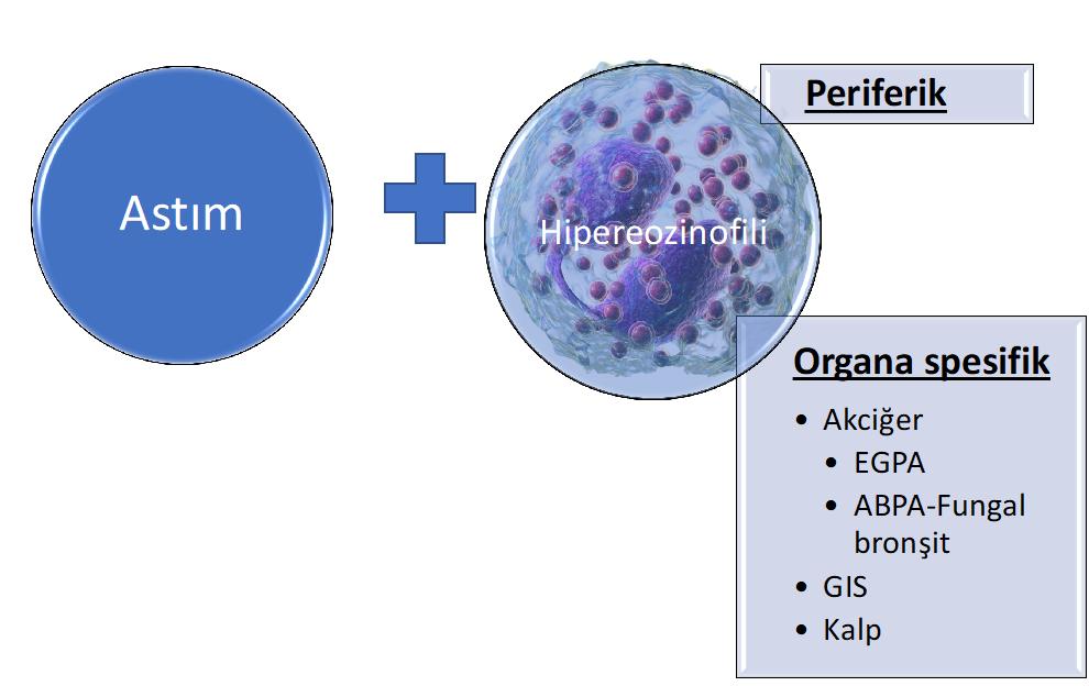 *Bousquet J et al. N Engl J Med. 1990.