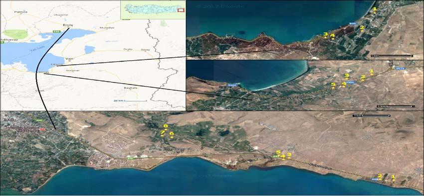 Bayram ve Gülser 2018, YYÜ TAR BİL DERG (YYU J AGR SCI) 28(3): 358-367 Gevaş ilçesinin iklimi ılıman geçmektedir. Yağış miktarı yıllık ortalama 500 mm dir. Temmuz, 6 mm yağışla yılın en kurak ayıdır.