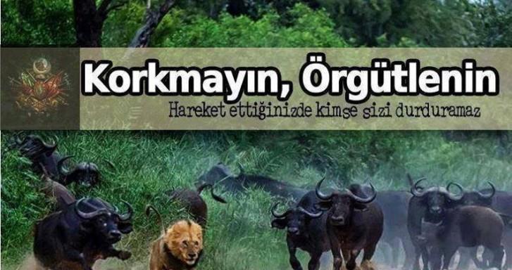 Korkmayın!