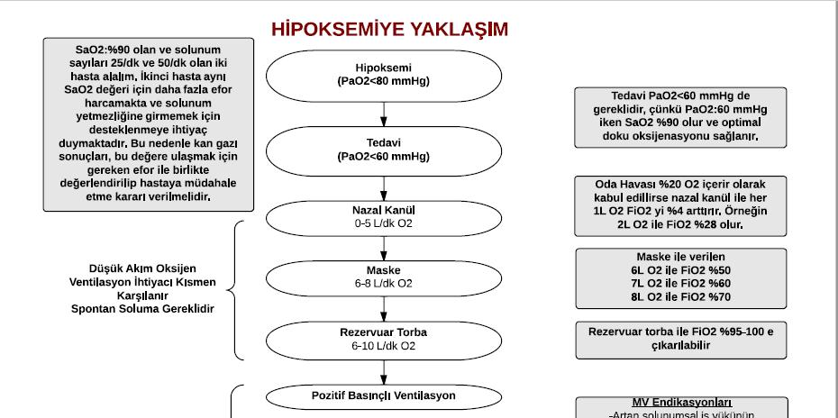 Solunum yetmezliği