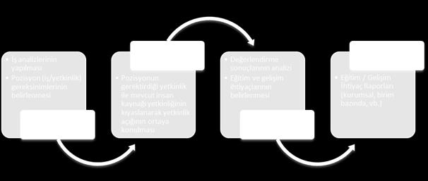 Bu kapsamlı çalışmalardan elde edilecek sonuçlar stratejik planın güncellenmesi ve sonraki dönem stratejik plan çalışmalarında kullanılır.