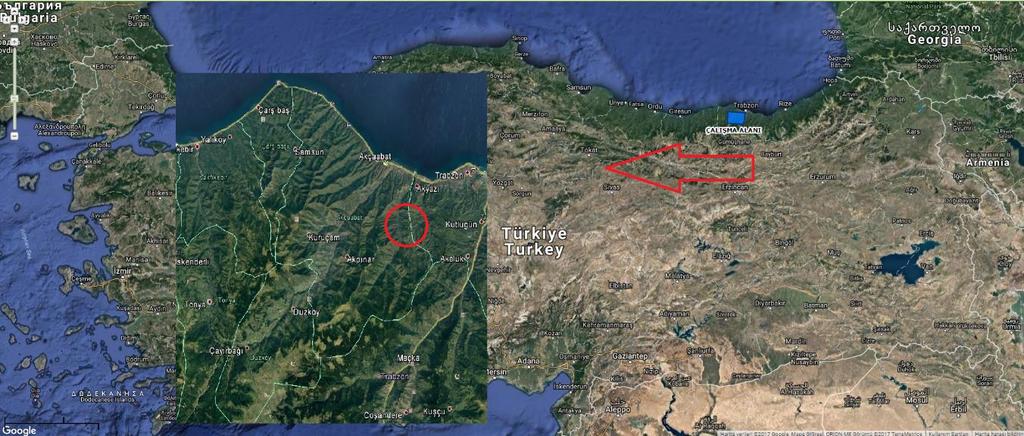 Yapılan çalışmada Trabzon bölgesinde bulunan volkanik kayaçların günümüz mimarisinde kaplama malzemesi olarak duvar ve döşemelerde kullanılabilirliği araştırılmıştır.