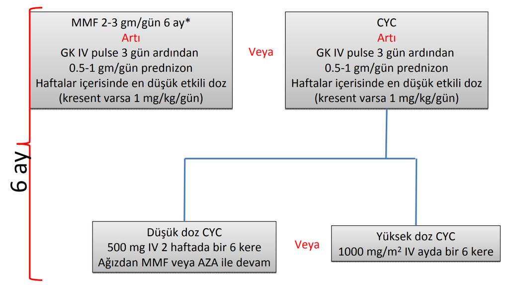 Proliferatif