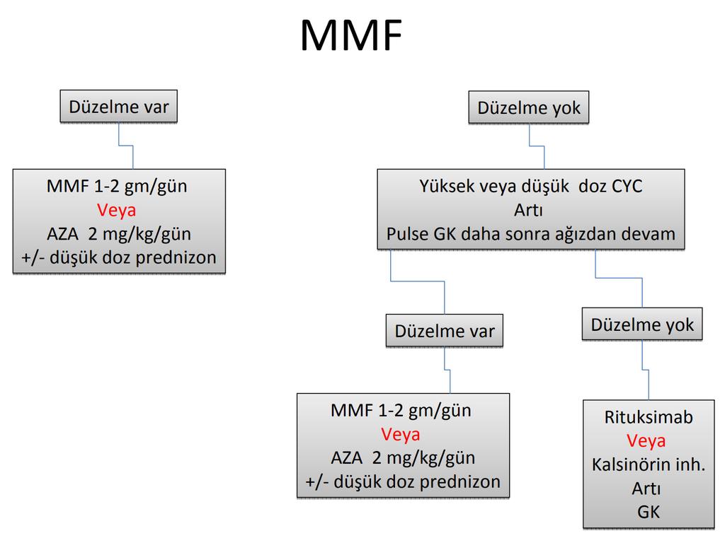 Proliferatif lupus