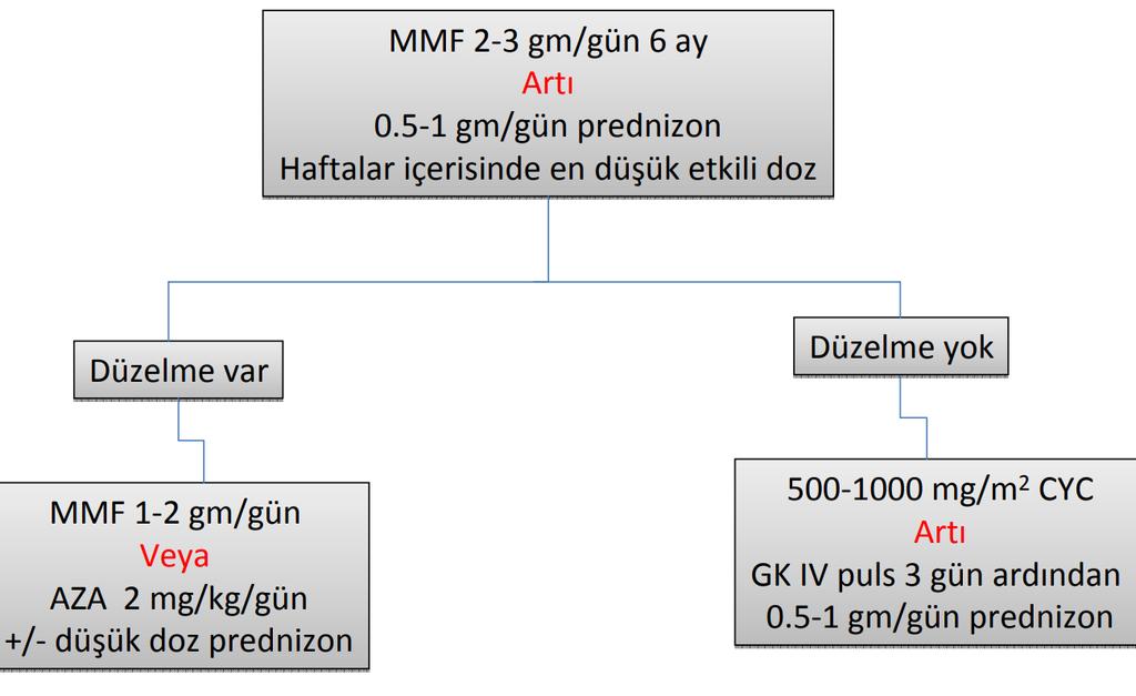 Membranöz (Tip V)