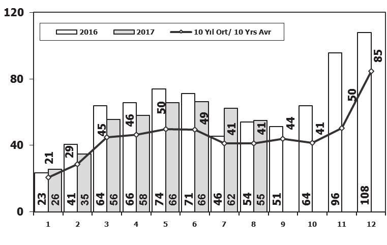 Otomobil Pazarının Analizi P.Cars Market Analysis Otomobil Pazarı P.