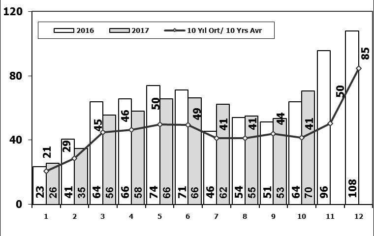 Otomobil Pazarının Analizi P.Cars Market Analysis Otomobil Pazarı P.Cars Market Aylar / Months 10 Yıl Ort. 10 Yrs Avr.