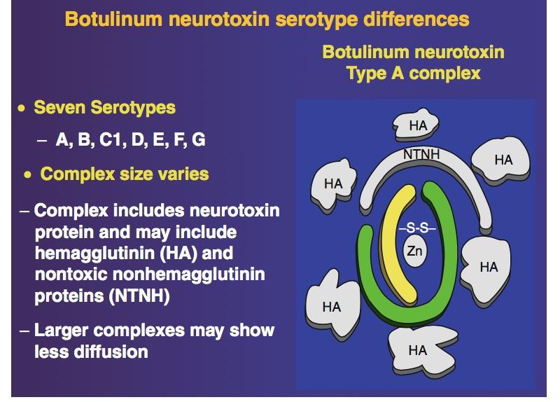 8 Botulinum Nörotoksin (BoNT)