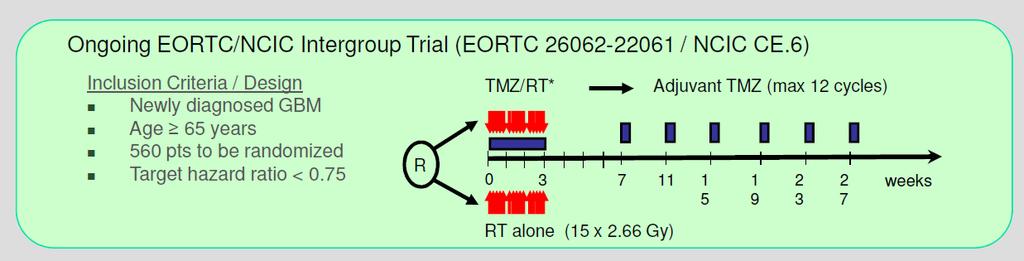 NCI-C/EORTC GBM