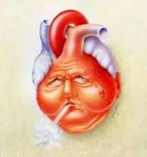 KALP YETMEZLİĞİ Kalbin dokulara, metabolik ihtiyaçlarına uygun miktarda kanı pompalayamadığı