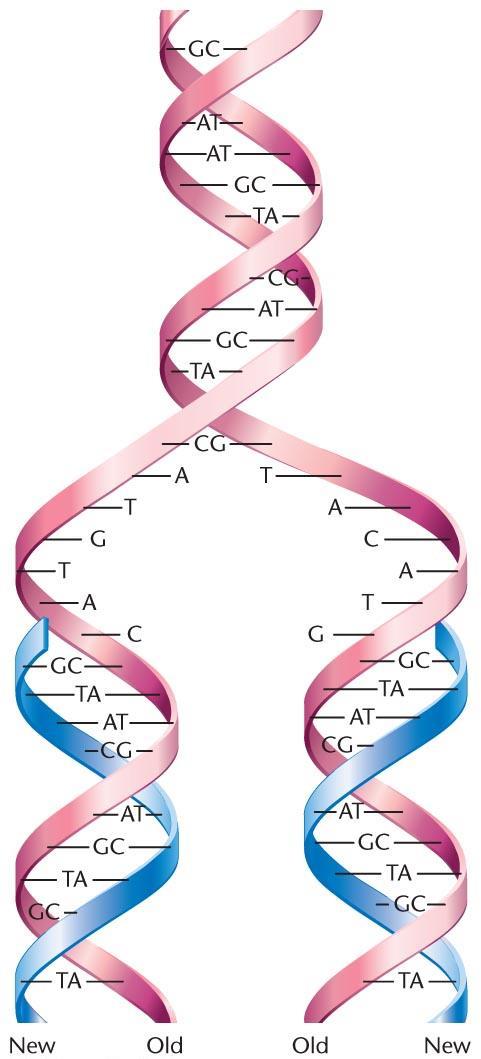 Figure 11.