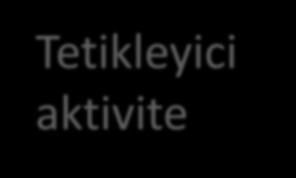 Tetikleyici aktivite