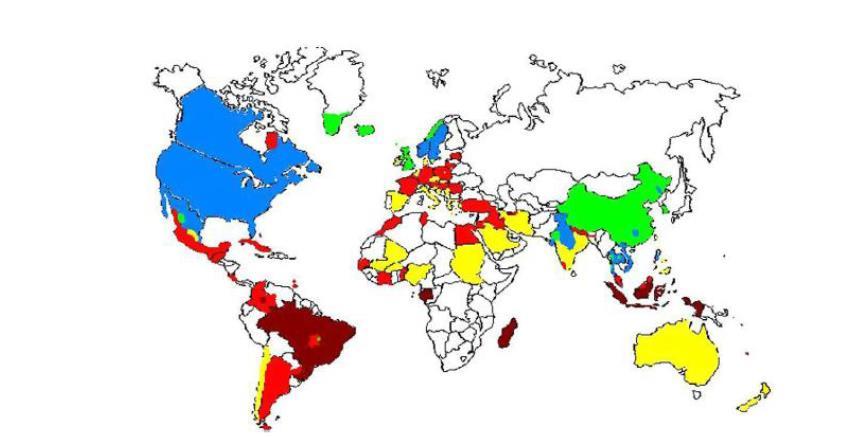 Epidemiyoloji >%60 %40-60 %20-40 %10-20 <%10 Veri yok Dünya nüfusunun yaklaşık 1/3 ü seropozitif (%10-90) Prevelans.