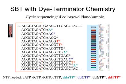 SBT (Sequence Based Typing)