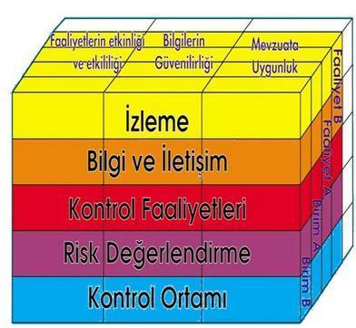 İç Kontrolün Unsurları: Kontrol Ortamı Risk Yönetimi