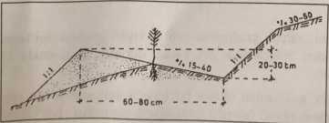 Gradoni tipi teraslar genellikle "V" enkesitli olmakta ve eğimi %60'a kadar olan yamaçlarda kullanılabilmektedir. Bunlarda da teras tabanı kısmen gevşetilir.