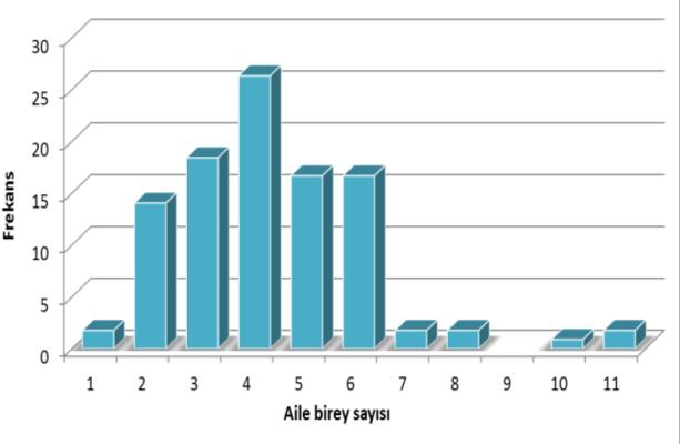 Şekil 10 ve 11.