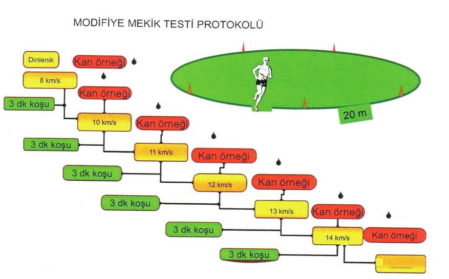 Veysel KÜÇÜK Selçuk TARAKCI Resim 1: Modifiye Mekik Testi Düzeneği Koşu düzeneği resim 1 de gösterilmiştir. Her işaret arası 20 m. olacak şekilde düzenek kurulmuştur (5x20m. Toplam 100 m.).