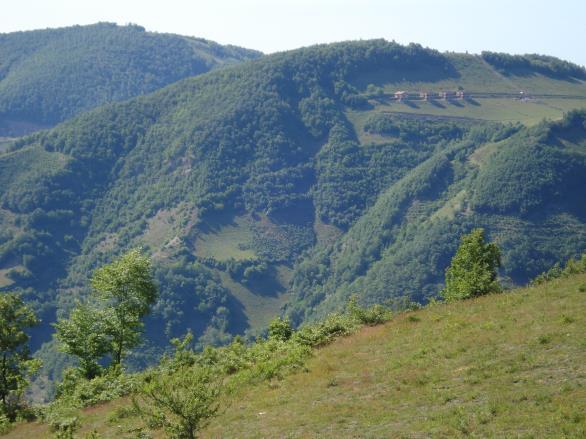 Bilimsel verilerin tarım arazisi olabilecek niteliklere sahip değildir diye sınıflandırdığı 6,4 milyon hektar