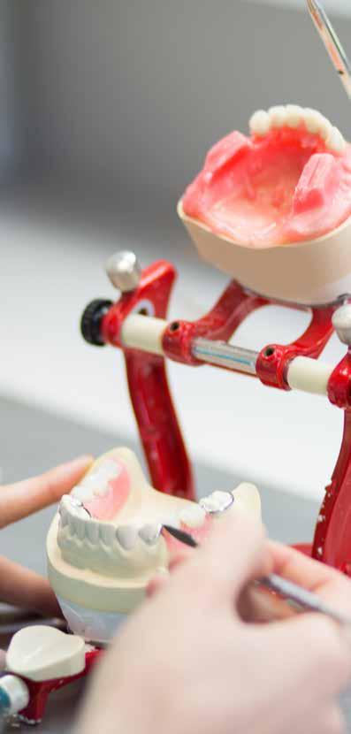 SAĞLIK HİZMETLERİ MESLEK YÜKSEKOKULU DİŞ PROTEZ TEKNOLOJİSİ PROGRAMI Diş protez teknikeri, diş hekimi tarafından planlanan ve çene ile yüz bölgesine