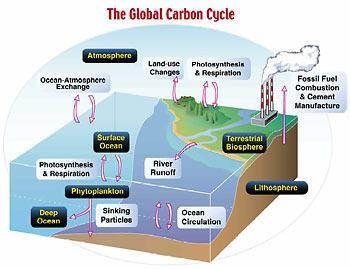 Tropik okyanuslar üzerinden atmosfere geçen CO 2 'in kutup okyanusları tarafından alınması sürecinde CO 2 'in kalış süresi yaklaşık beş yıldır.