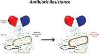 Kollateral Hasar An>biyo>k tedavisinin ekolojik etkileri Kullanılan an>biyo>ğe direnç gelişmesi An>biyo>k tedavisine bağlı
