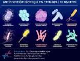 Etken Mikroorganizmalar Dünyada ve ülkemizde Enterobacteriaceae