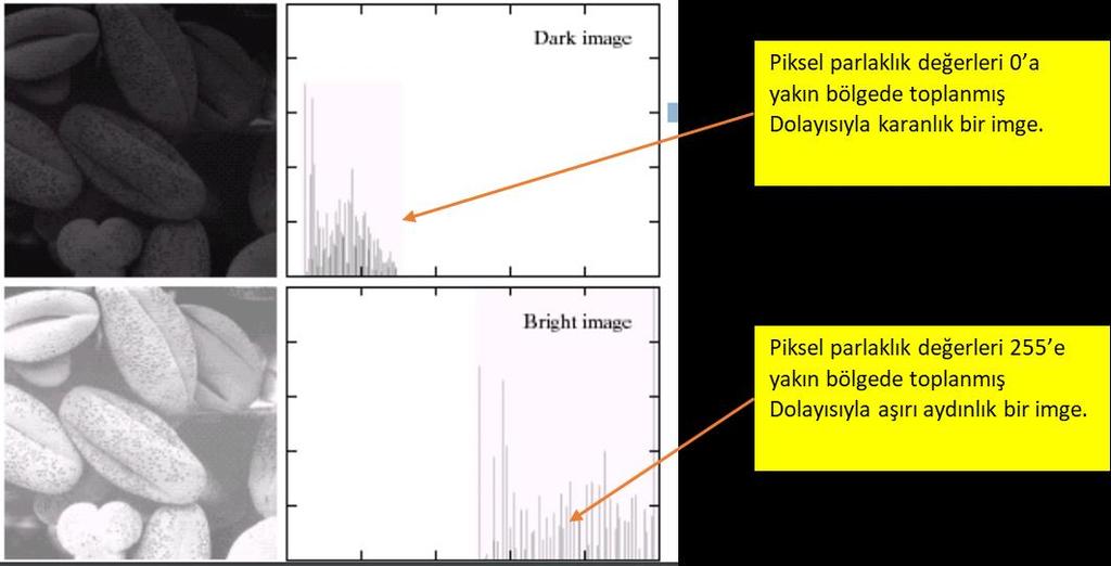 Görüldüğü üzere histogram çubukları ilk histograma göre