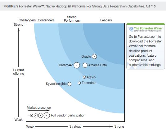 Forrester Hadoop İş Zekası Platformları Raporu Copyright