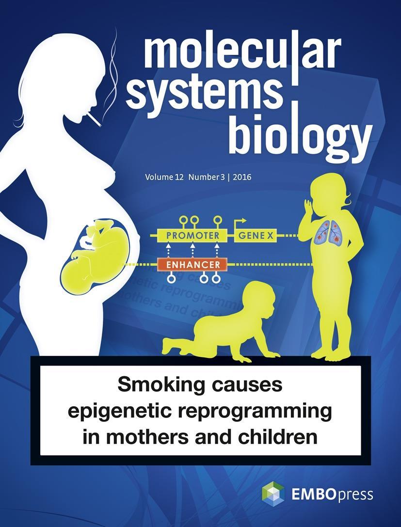 Environment-induced epigenetic reprogramming in genomic regulatory elements in smoking