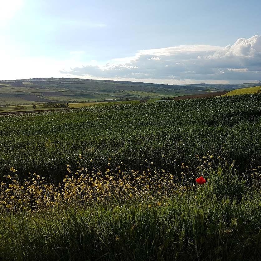 Tekirdağ Dinlediğiniz ve