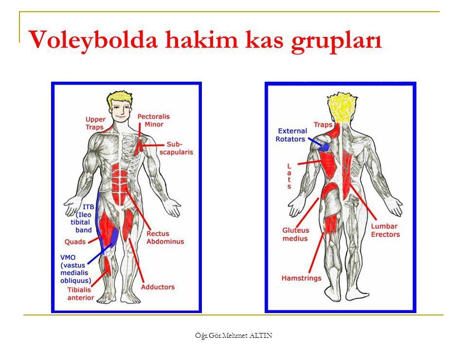 SMAÇ HAREKETİNDE ÇALIŞAN KAS GRUPLARI Voleybolda smaç vurma alt ve üst ekstremitedeki birçok kasın aynı anda çalıştığı bir harekettir.