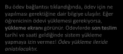 Bu ödev bağlantısı tıklandığında, ödev için ne yapılması gerektiğine dair bilgiye ulaşılır.