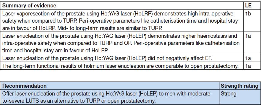 HoLEP Holmium lazer ameliyatları, deneyim ve endoskopik beceriler gerektiren cerrahi