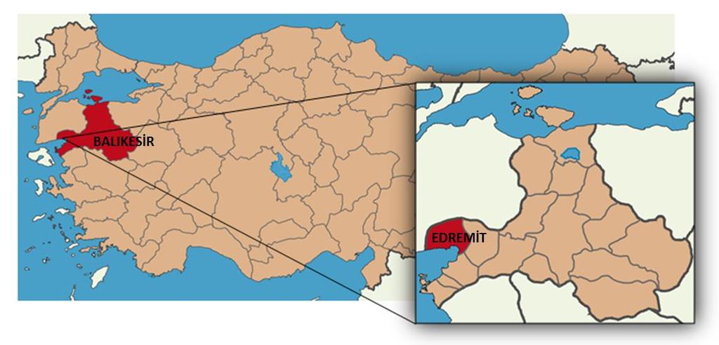 Balıkesir İli, Edremit İlçesi, Altınoluk Mahallesi, Kuyudere Bölgesinde; kentsel tasarım ve peyzaj planlama, uygulama hizmet alım işi kapsamında; I.