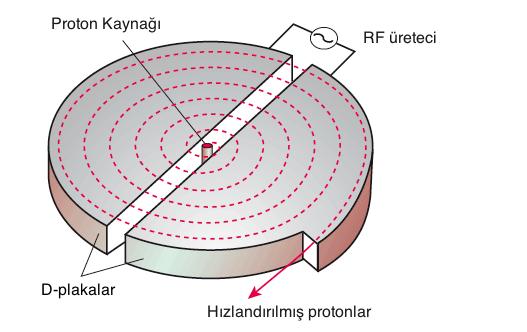 Sabit hızlı parçacıklar manyetik alanda dairesel yörüngede hareket ederler