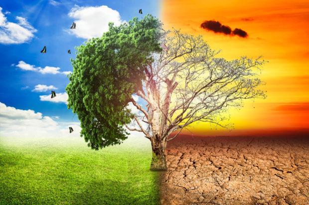Hava olayından bahsedilirken Güneşli, Yağmurlu, Karlı, Rüzgârlı gibi kavramlar kullanılır. *** Hava olayları yeryüzü şekillerinin oluşmasında etkilidir.