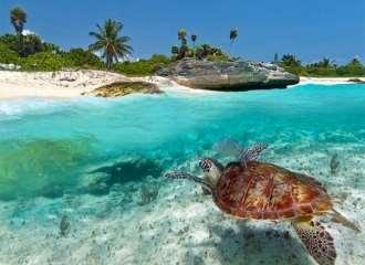Bembeyaz kumsalları, turkuaz okyanusu, uzayıp giden sahilleri ile eşsiz güzelliklerine tanık olacağınız Zanzibar a varışımızın ardından otelimize hareket ve odalarımıza yerleşmenin ardından serbest
