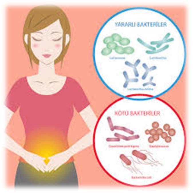 FEKAL TRANSPLANTASYON Fekal transplantasyonun amacı; Bozulmuş barsak mikrobiyotasını Sağlıklı bakteri topluluğu ile baskılamak, İşlevini