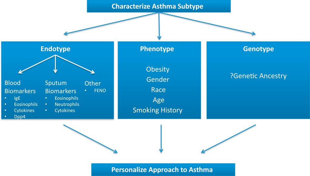 Fenotip ve Endotipten Genotipe Geçiş -Refractory asthma?