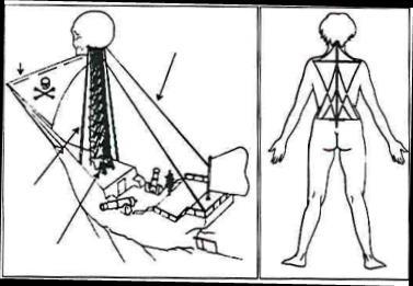 Spinal kolon hem sabit ve destekleyici hem de şekil değiştirebilme özelliğine sahiptir. Spinal kolun bir geminin direği gibi düşünülebilir.