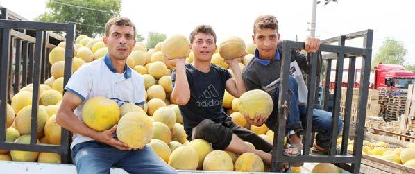 ortaklarına girdi temin ederken, kalite ve ucuzluk sağlayarak ürününü pazarda sürekli olarak değerinden tüketiciye ulaştırarak buradan elde ettiği kazançla da ortaklarının faydalanmasını sağlamaktır.