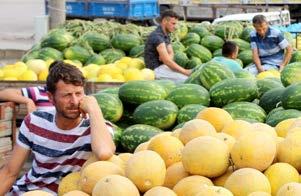 Uzun yıllar çiftçilik yapan bir ailenin ferdi olarak bende Bafra da geliştirdiğim çiftlikte Organik Tarım üretimi yaparak Türkiye genelinde hem ülkeme hem de bölgeme hizmet verdim.